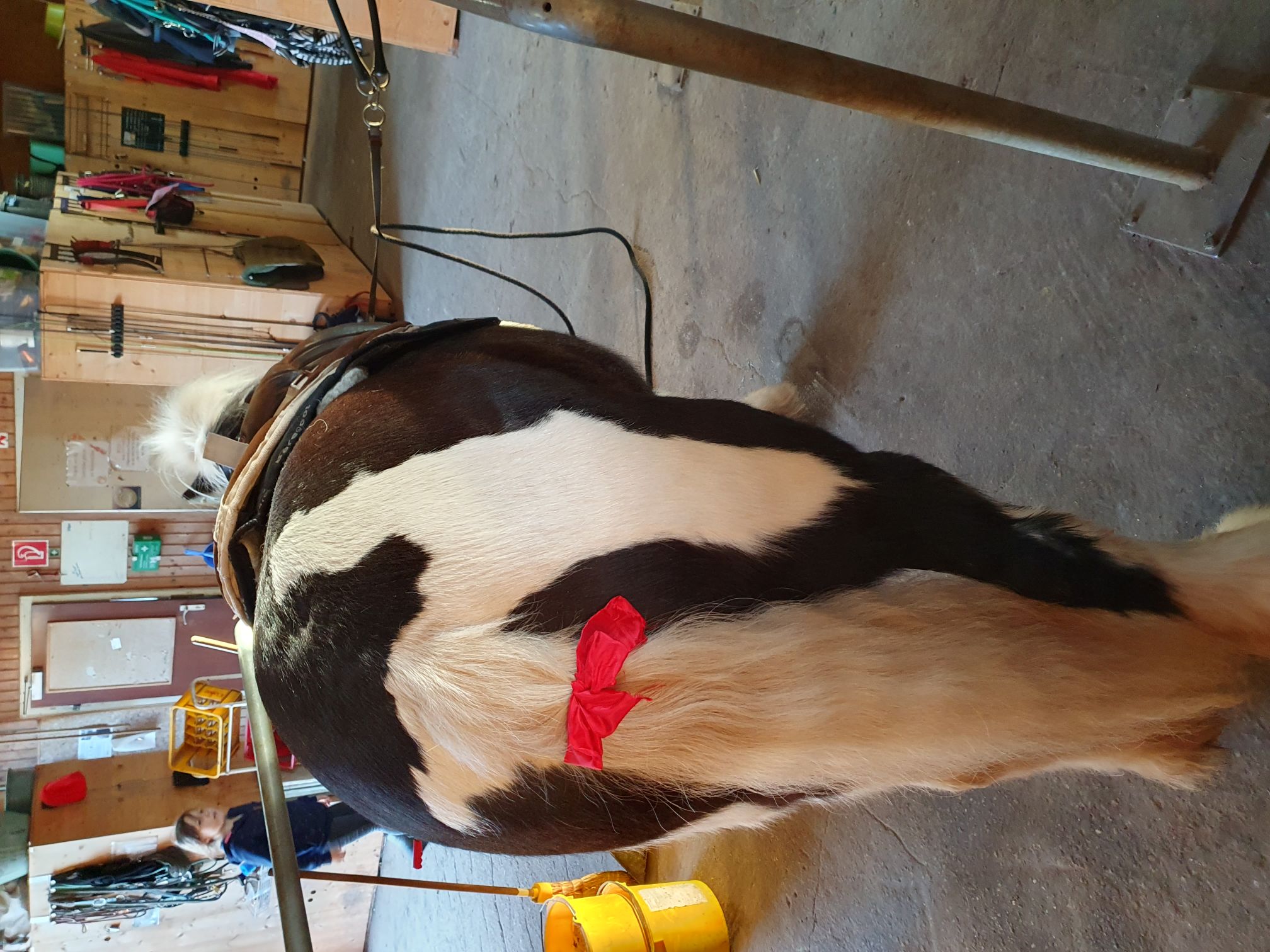 2023 12 Dezember 650